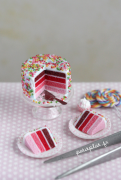 miniatyyriruoka 5 luettelo